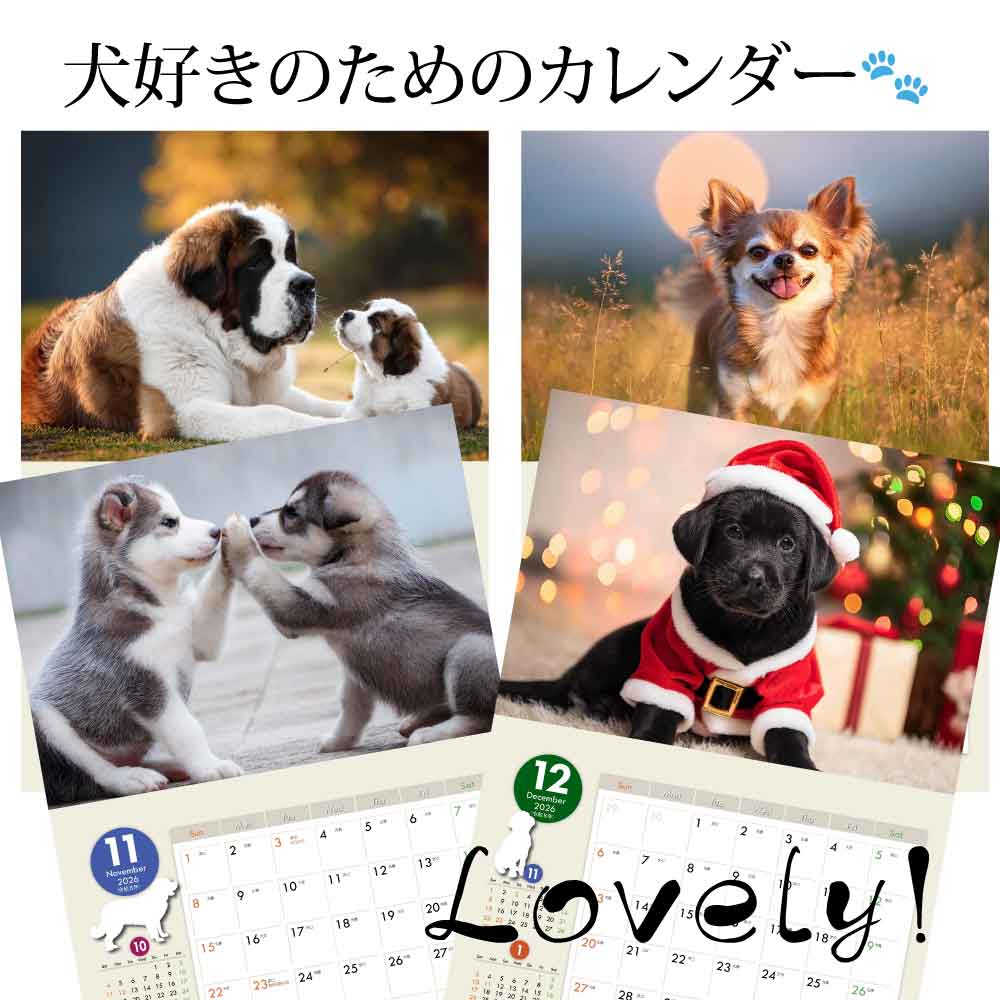 楽天市場】オリジナル犬【dog1】写真カレンダー 2026年版 - 愛らしい犬