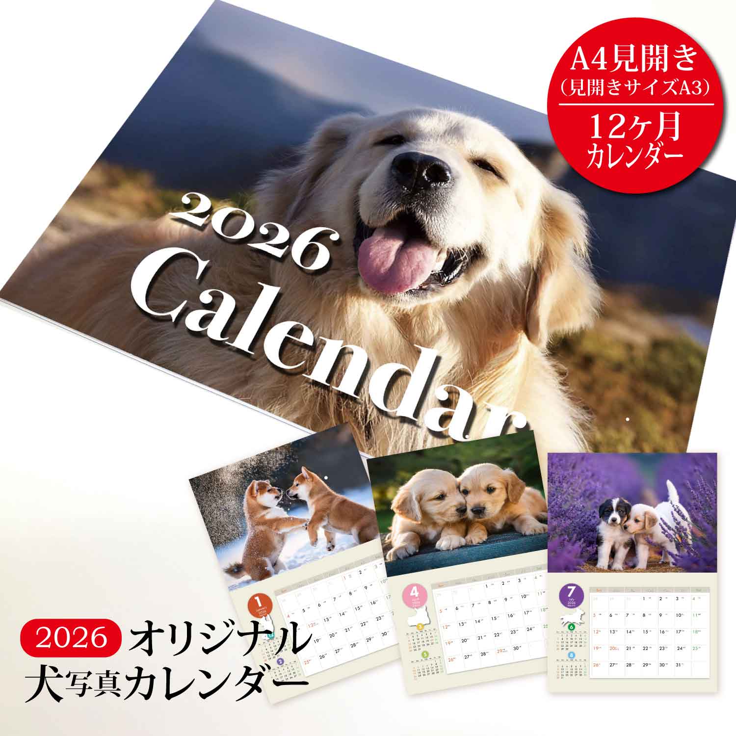 楽天市場】オリジナル犬【dog1】写真カレンダー 2026年版 - 愛らしい犬