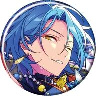 あんスタ HiMERU 80個 テーマ 缶バッジ あんスタ HiMERU 缶バッジ 80点