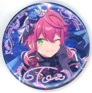 あんスタ 姫宮桃李 缶バッジ trip 8個セット あんスタ 姫宮桃李 桃李