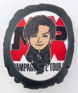 THE RAMPAGE 浦川翔平 16BOOSTERZ クッション THE RAMPAGE 浦川翔平