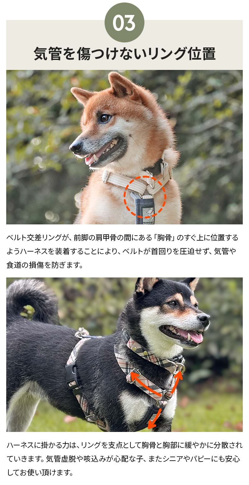 楽天市場】犬 ハーネス 抜けにくい 脱げない 脱げにくい 迷子防止 小型