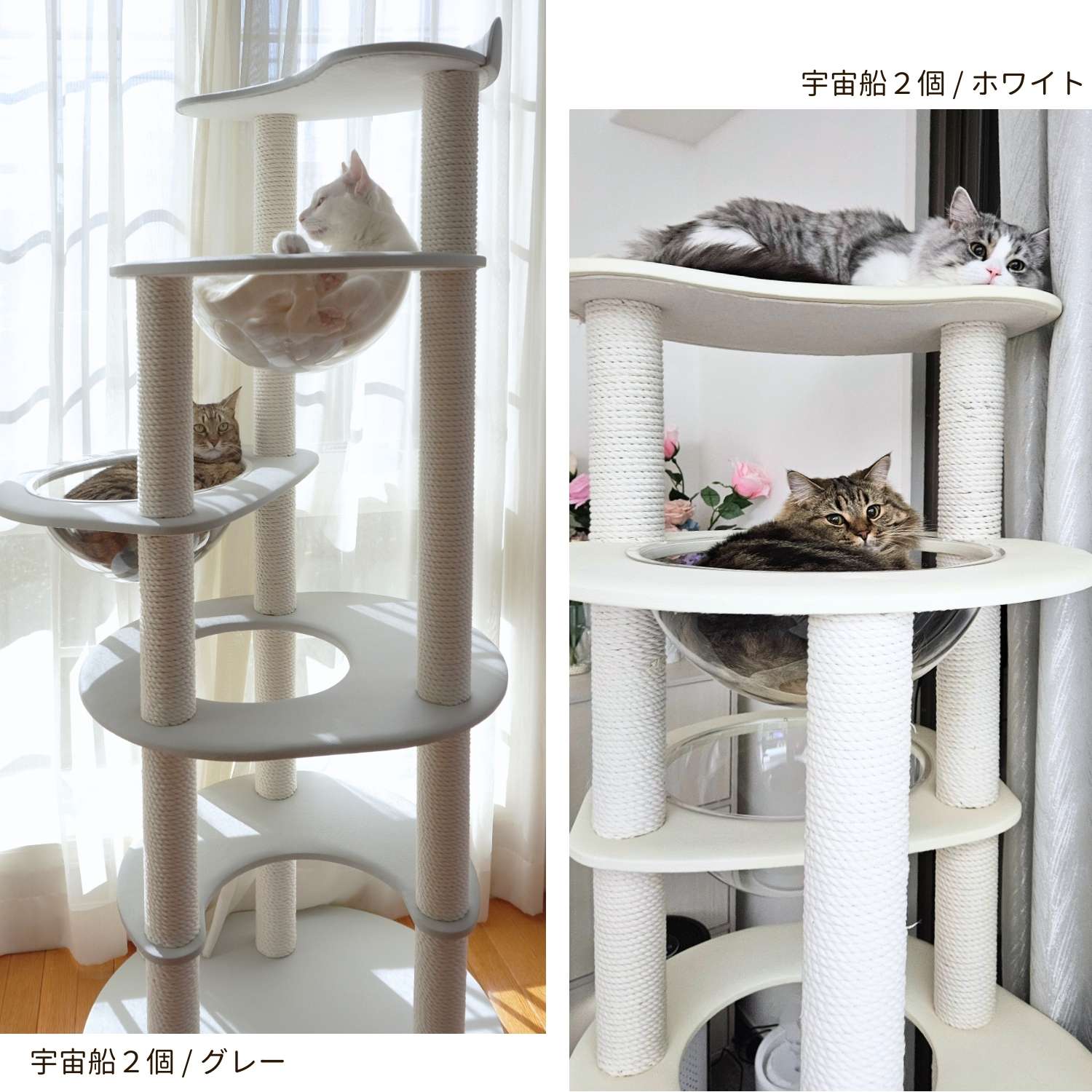 yama@猫飼っています 修理、連絡ページ yama@猫飼っています 様 専用