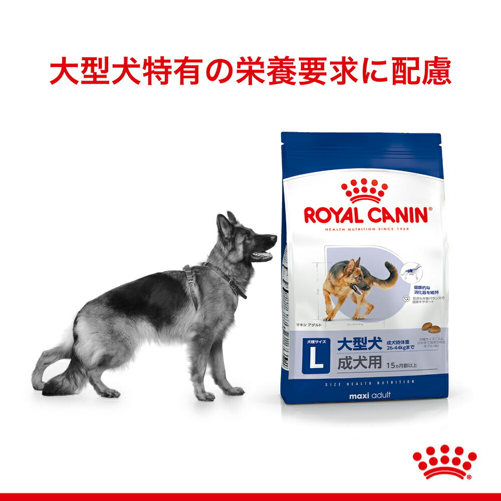 CANIN Maxi Adult 大型犬用 16kg ROYAL CANIN Maxi Adult 大型犬用