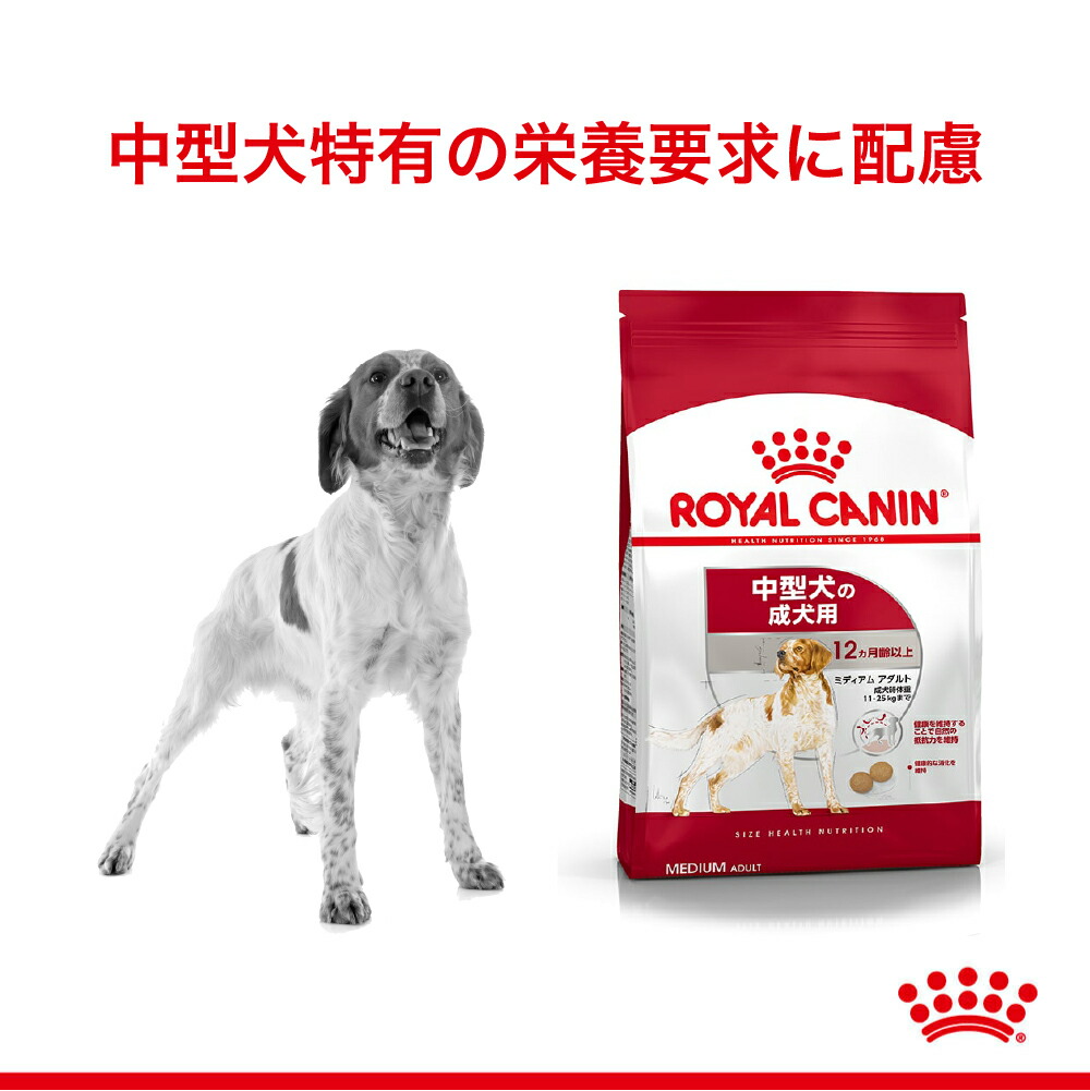 数量限定】中型犬・ロイヤルカナン ミディアムアダルト 16kg