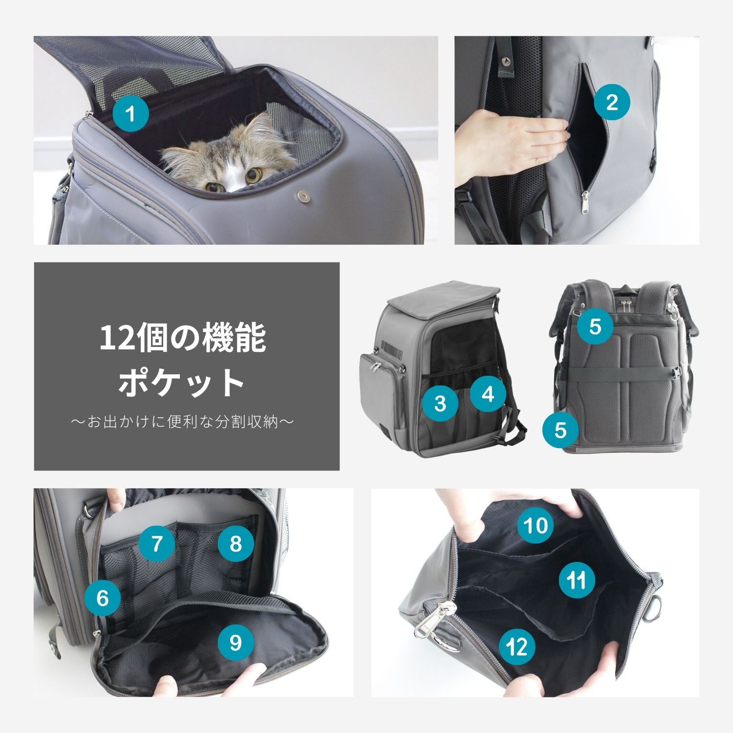 楽天市場】＼1000円OFFクーポン配布中／ONEKOSAMA おねこさま 3WAY