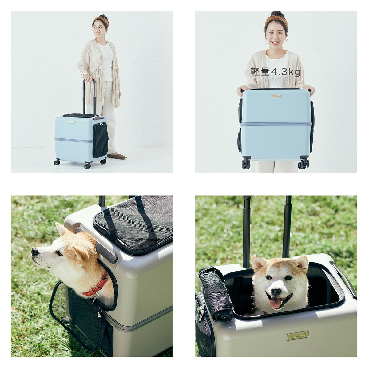 楽天市場】ペットキャリー ペチコ 3001-L PETico 1年保証 犬 ネコ 小型