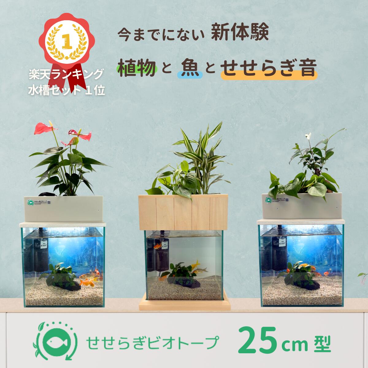 楽天市場】【TVで紹介されました】水換え不要 水槽セット せせらぎ