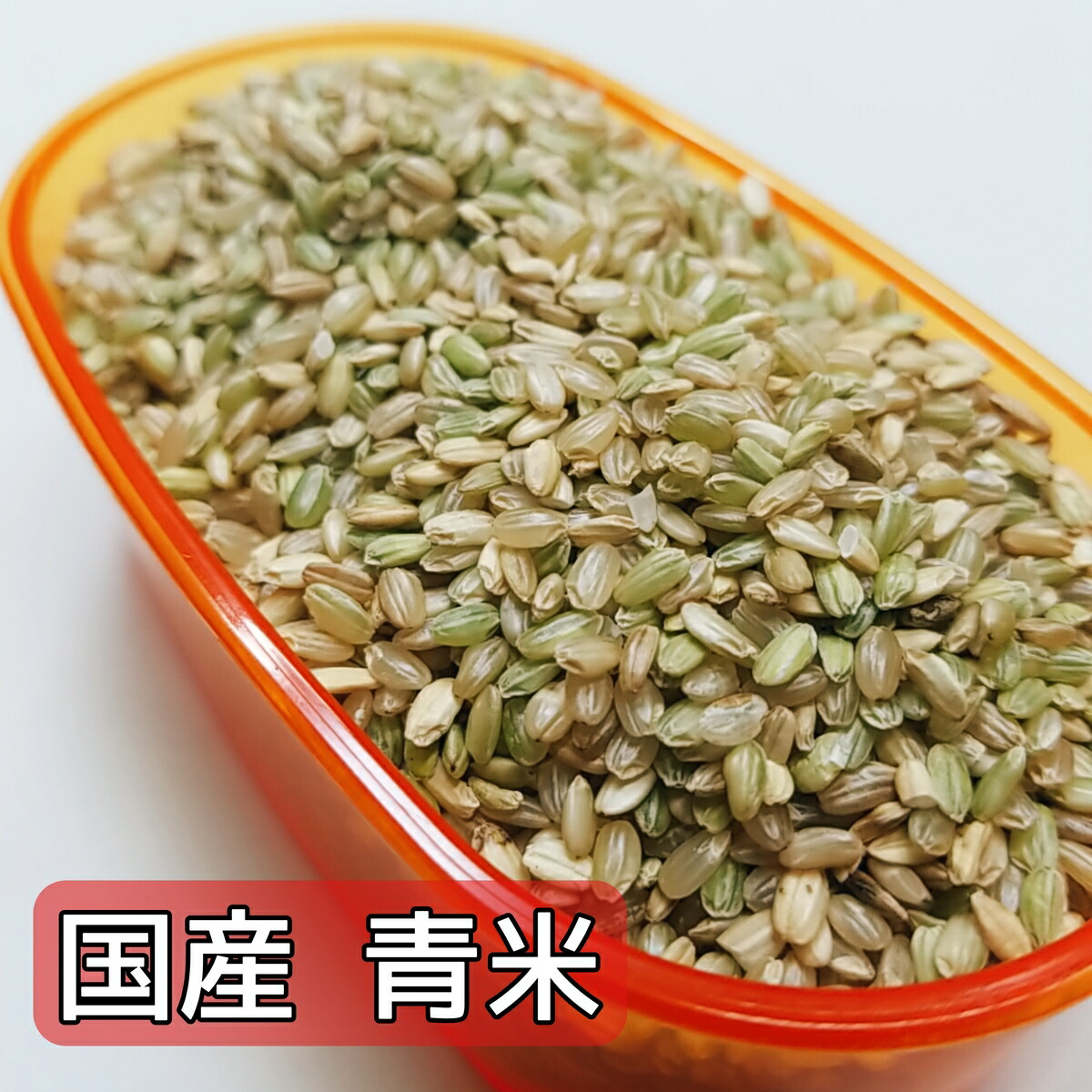 楽天市場】【国産】青米 800g くず米 小鳥のえさ 小鳥の餌 小鳥の