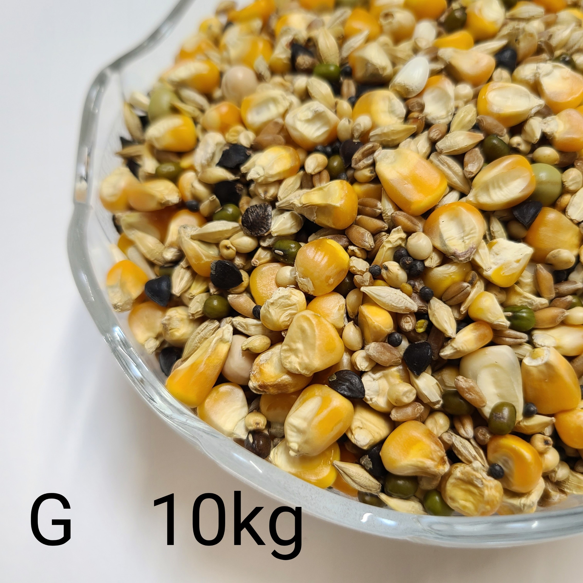 レース 鳩 エネルギーコーン 15kg 鳩 餌 レース 鳩 エネルギーコーン