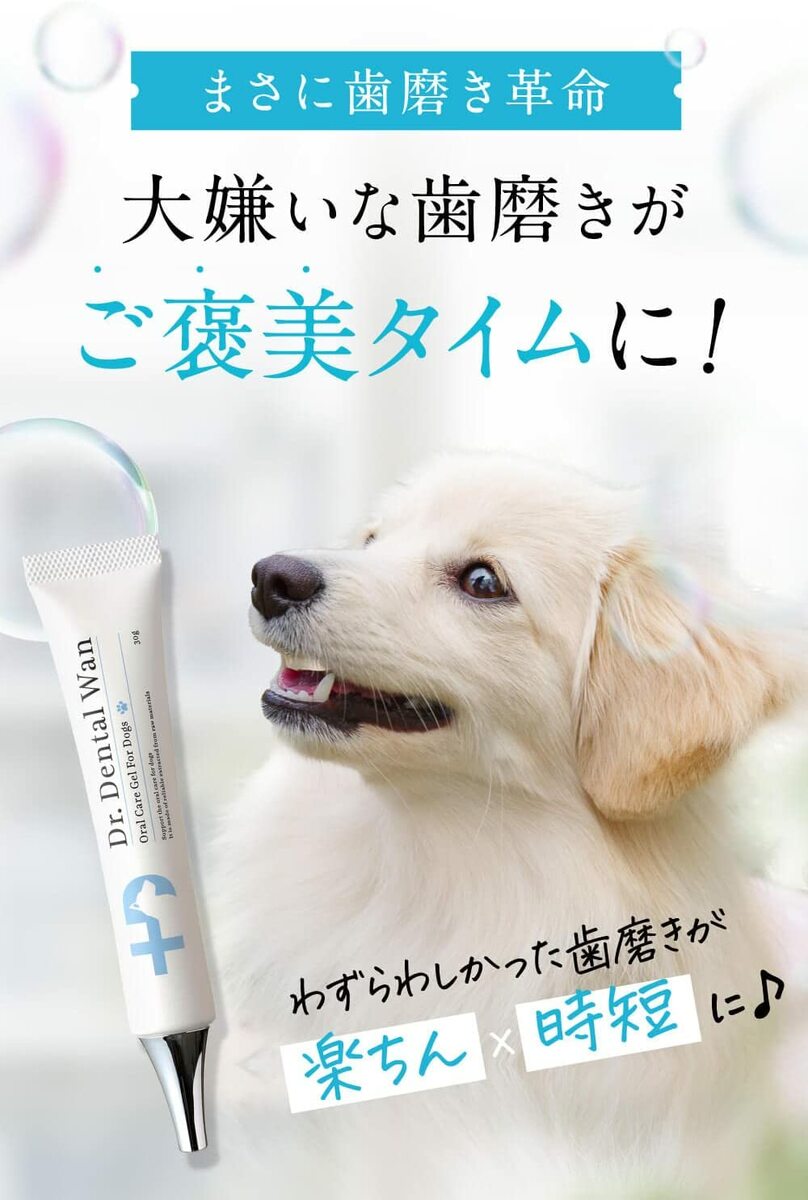 Dr. Dental Wan デンタルケア 2本セット 30g ショップ Dr. Dental Wan