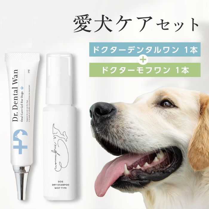 Dr. Dental Wan 歯磨き粉 4本セット + 歯ブラシ 【公式通販】