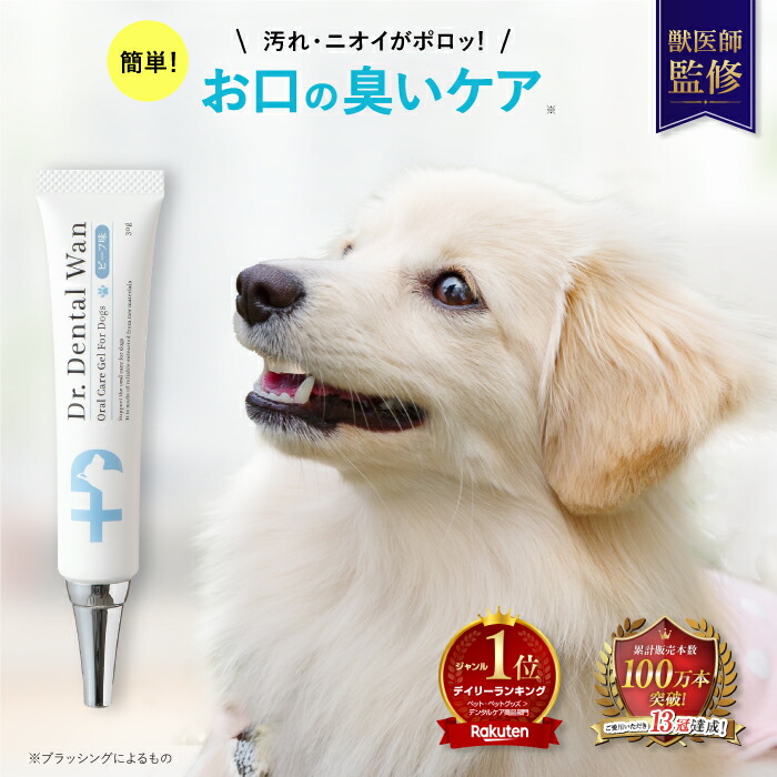 ドクターデンタルワンビーフ味4箱