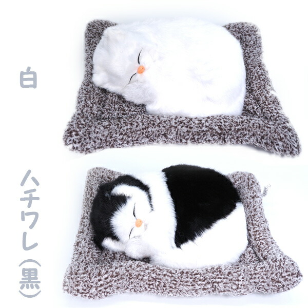 楽天市場】おねむりねこちゃん6種 : おもちゃの三洋堂