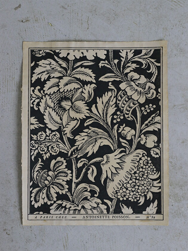 楽天市場】ドミノペーパー 59C Antoinette Poisson // アントワネット