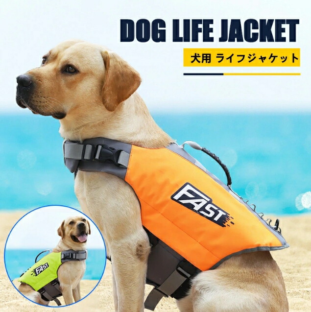 楽天市場】イージードッグ ライフジャケットlの通販
