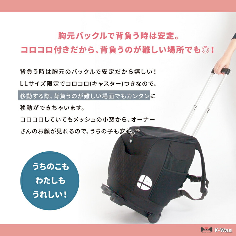 楽天市場】新色【ポイント5倍】Daisukiデカリュック ダイスキデカ