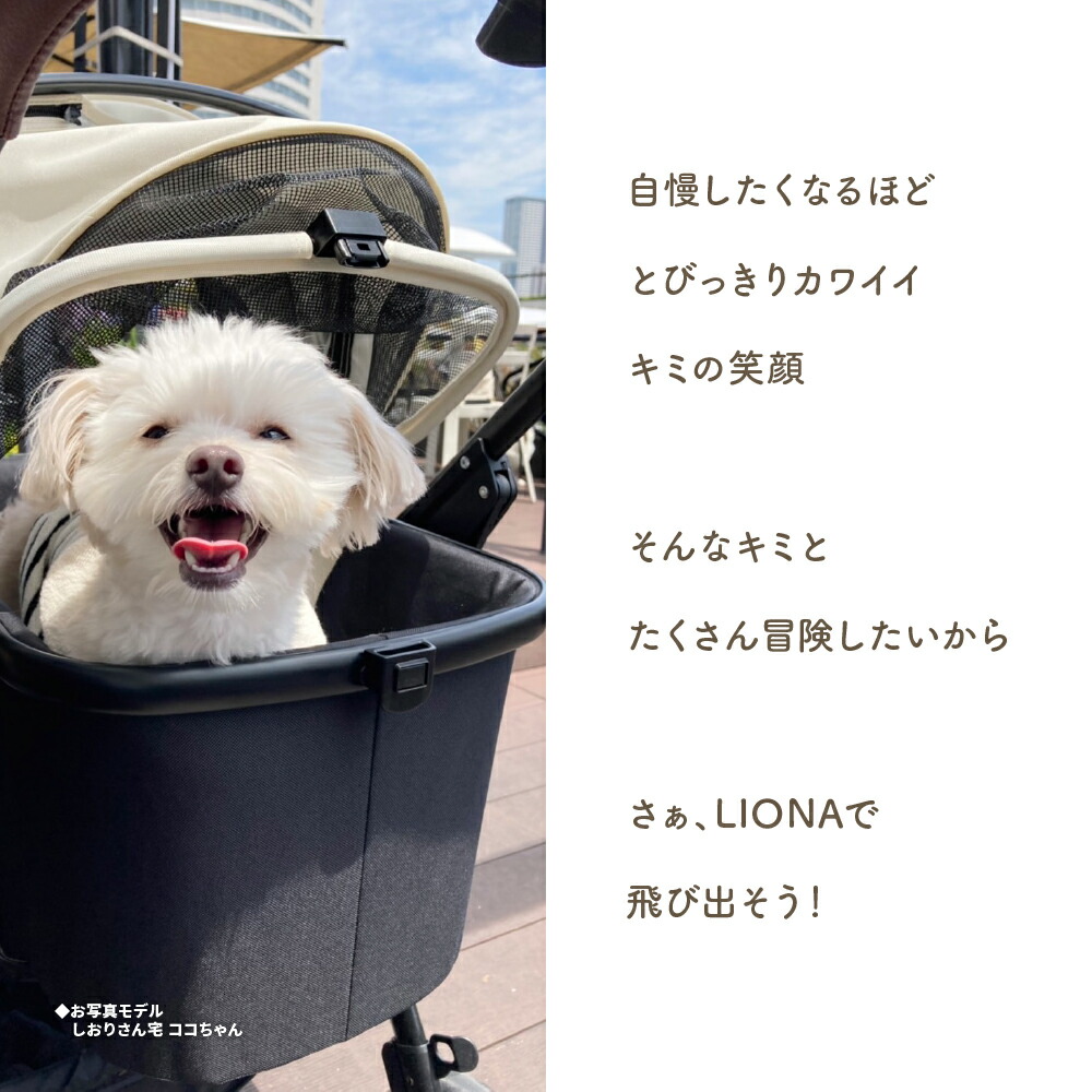 楽天市場】【期間限定価格】最新型 ピッコロカーネ リオナ2 ワンタッチ