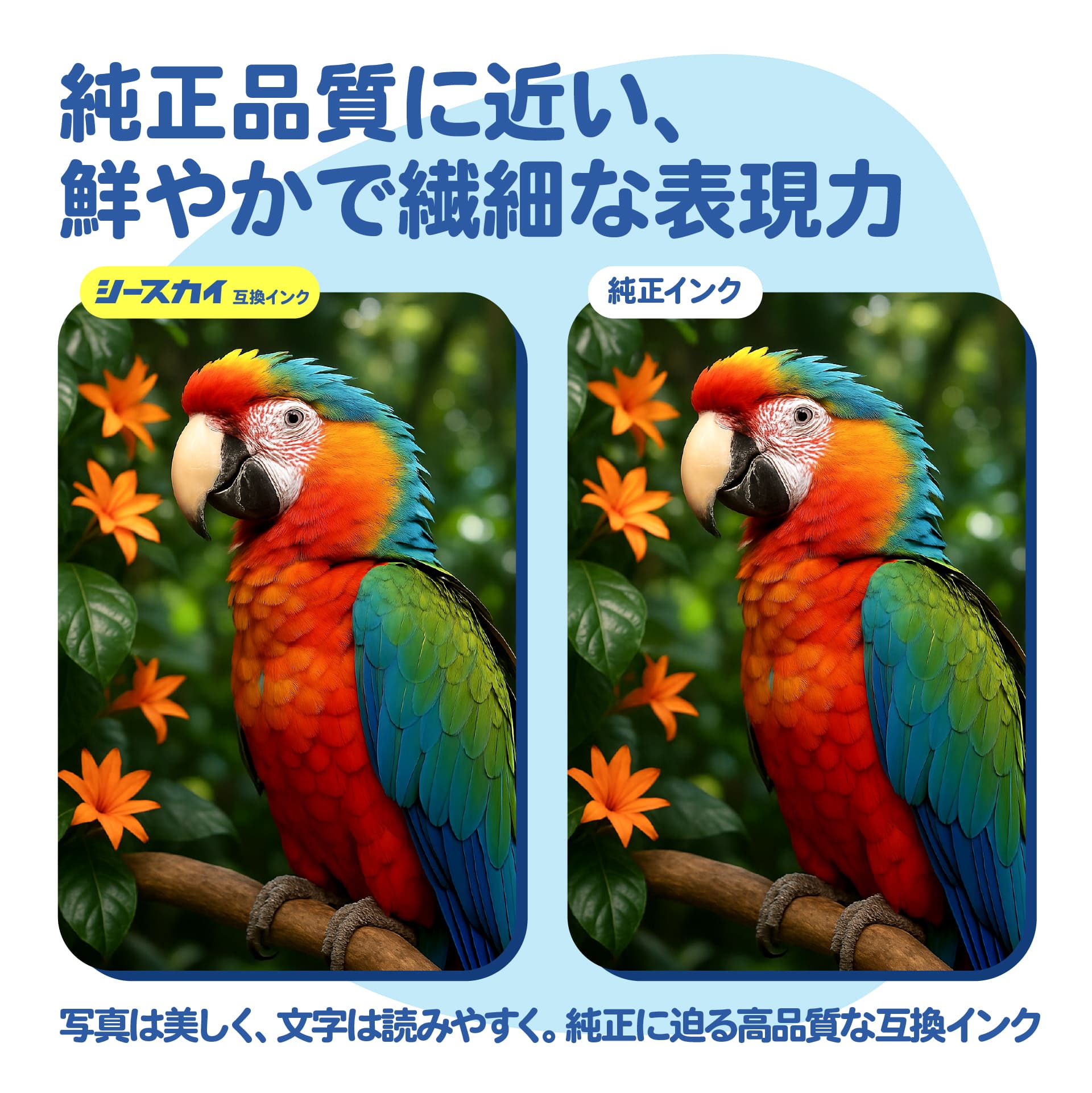 楽天市場】【歳末セール☆20％OFF】12/31まで エプソン用 IB02B IB02KB