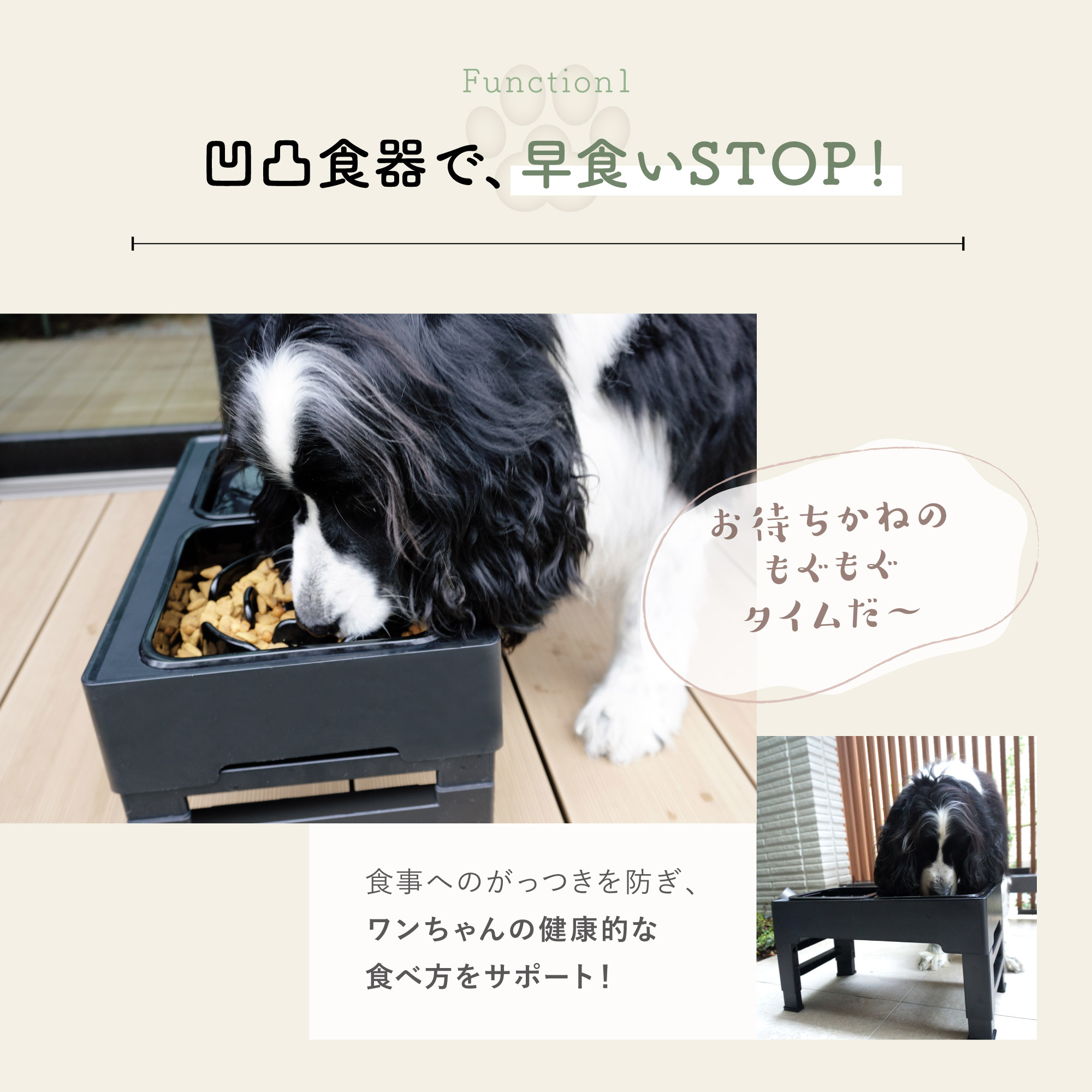 楽天市場】☆期間限定500円OFF☆ フードボウル ペット 早食い防止 食器