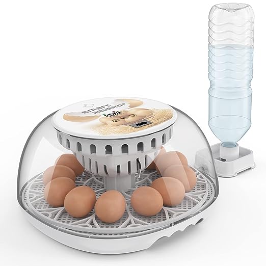 楽天市場】自動孵卵器 インキュベーター 鳥類専用孵卵器 自動転卵式