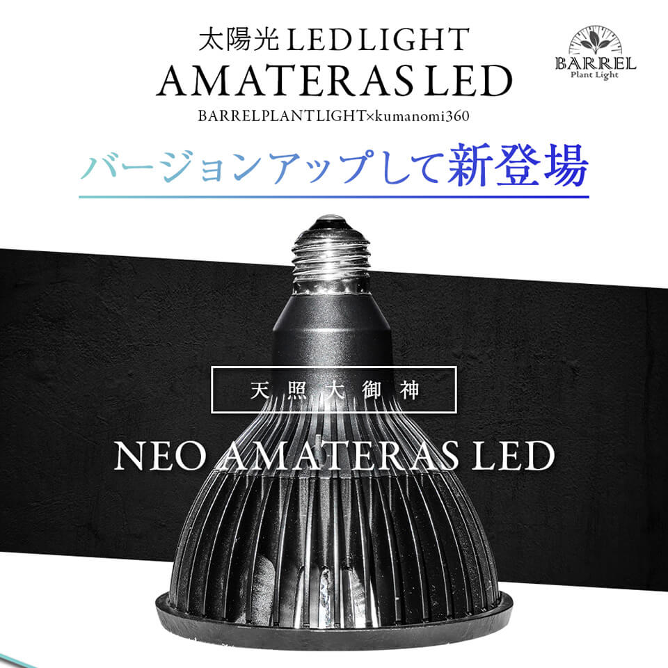 AMATERAS kumanomi 360 バレルプラントライト20W 未使用 楽天市場