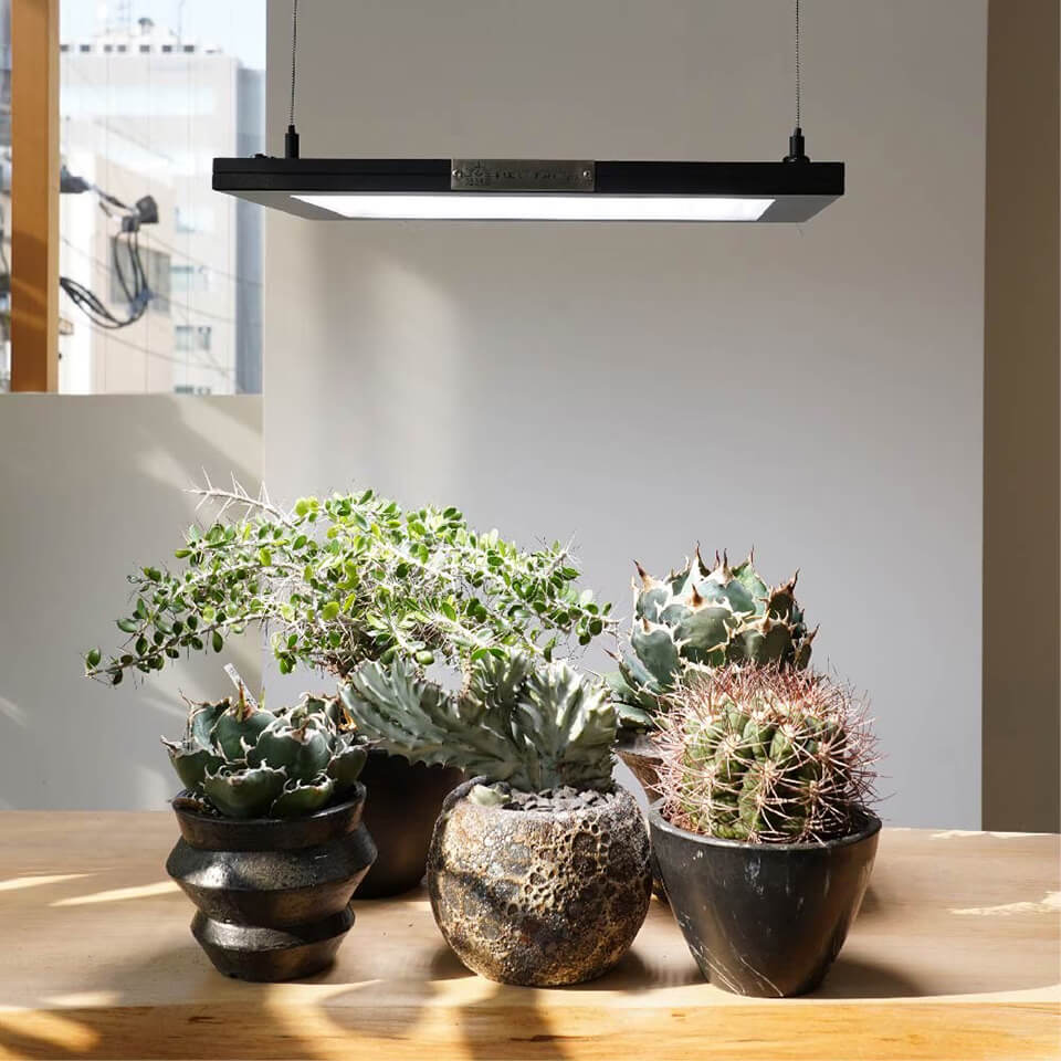 楽天市場】パネルライト【ROKI‐350 100W】ロキBARREL リニューアル版