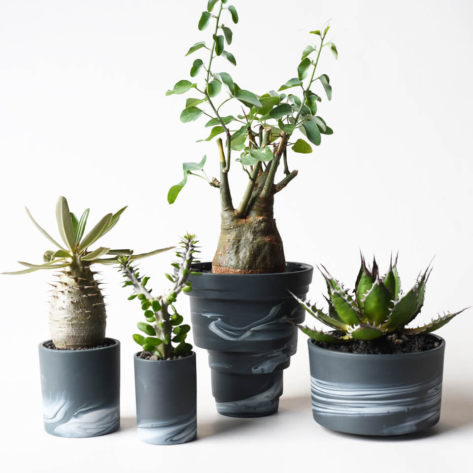 イタリー製 フルーツ置き Amazon｜イタリア製 陶器 フルーツ