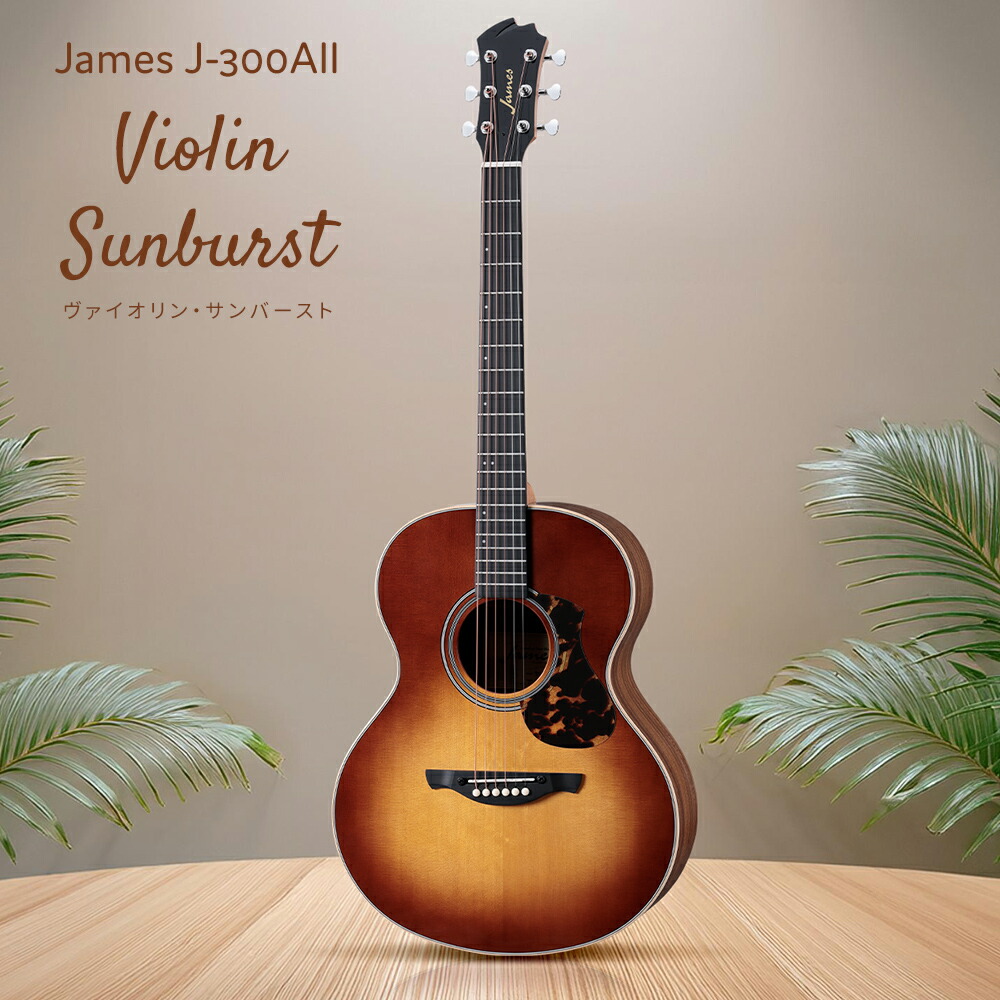 James J-300A NAT アコースティックギター すべてセット James J-300A