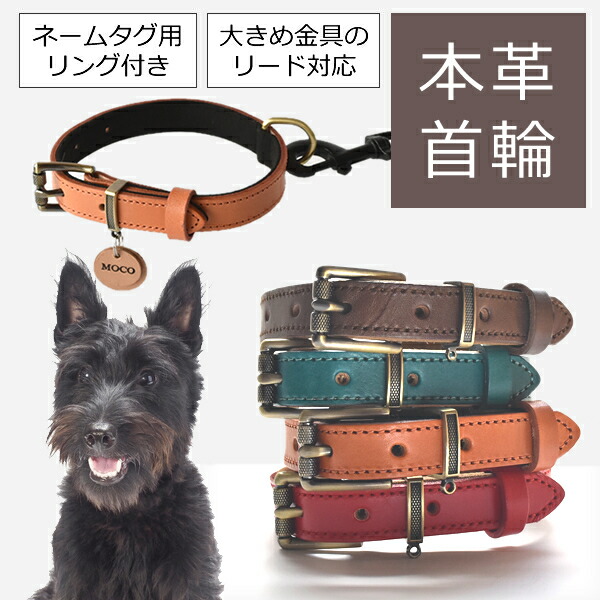 楽天市場】首輪 犬 おしゃれ 革 本革首輪 ドッグカラー レザー 小型犬