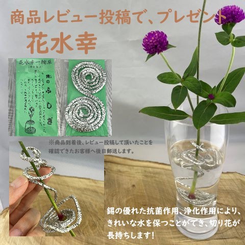 楽天市場】大野芳光作 高岡 唐銅花入古銅写 四方龍耳 木箱入り 茶道具