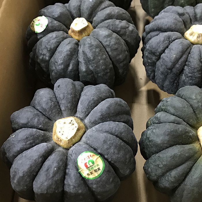 楽天市場】【送料無料】 宮崎県産 黒皮かぼちゃ Lサイズ 5〜6個入り