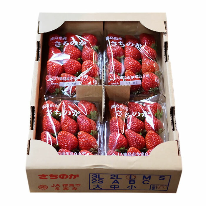 楽天市場】徳島県産 いちご さちのか L〜2Lサイズ 4パック入（箱