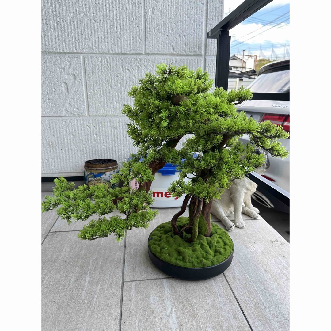 楽天市場】インテリアグリーン 高級模造迎客松盆栽 置物 禅意迎客松