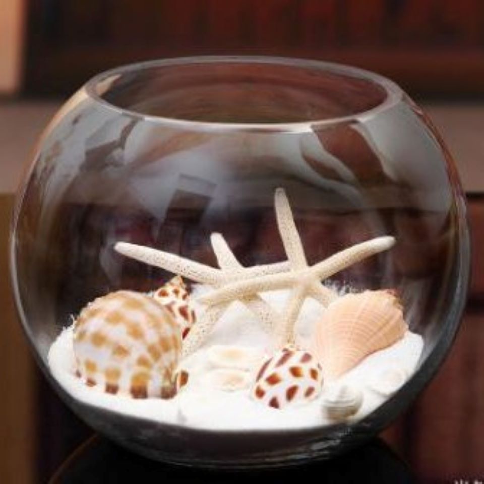 楽天市場】訳あり B級品 25センチ 金魚 メダカ 透明 丸 鉢 金魚鉢