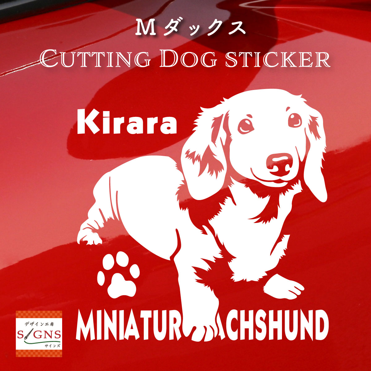 楽天市場】愛犬家のための かわいいミニチュアダックスフンド