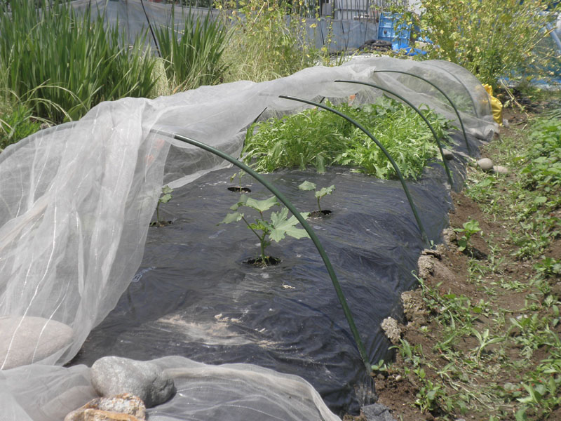 楽天市場】セキスイ トンネル支柱3型 13S-327 開口150×高さ95cm φ13 25