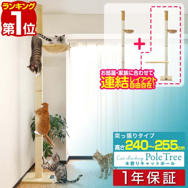 楽天市場】奥行き40 キャットタワーの通販