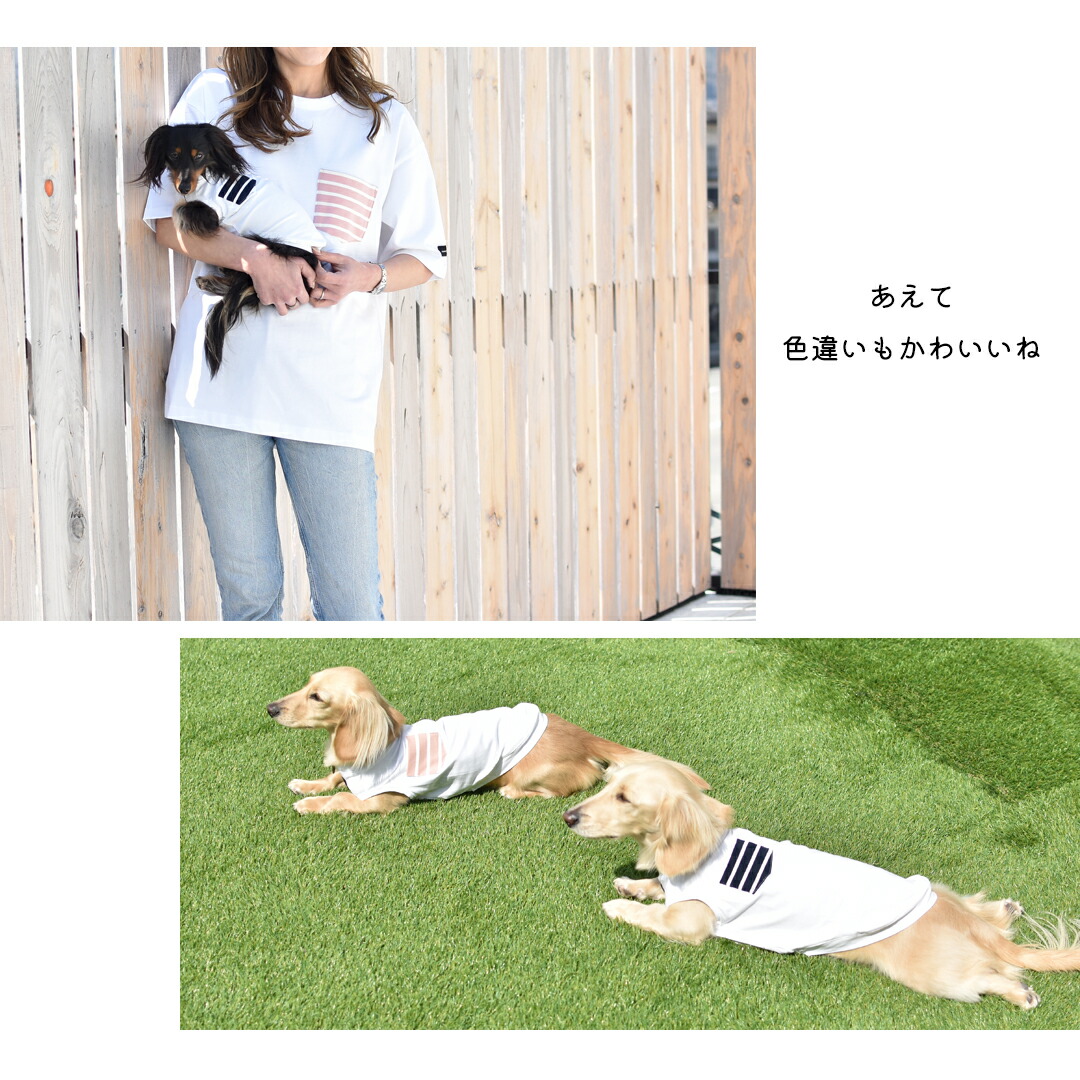 楽天市場】オーナーとお揃い ダックスサイズ ポケットボーダー タンク