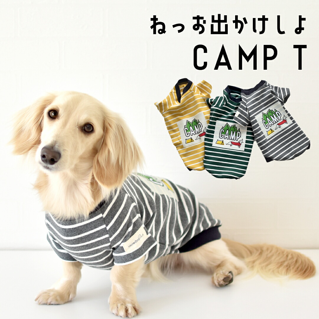 楽天市場】ボーダー キャンプTシャツ ダックスサイズ 犬服 snowdrop