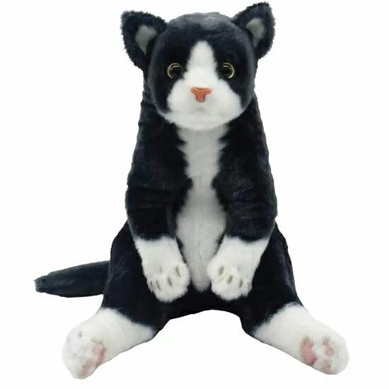 楽天市場】すわっちぃZoo にゃんこ ハチワレ 猫のぬいぐるみ スコ座り