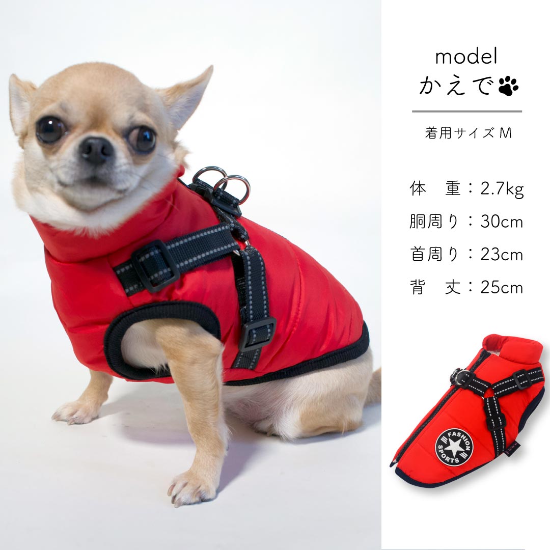 ○犬服○ハンドメイド 胴41 NO.555