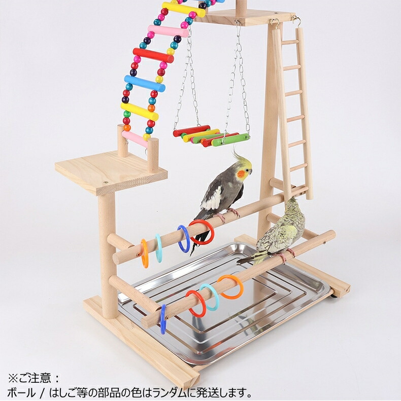 マロ小鳥の楽園バードアスレチックツリージム③ マロ小鳥の楽園バード