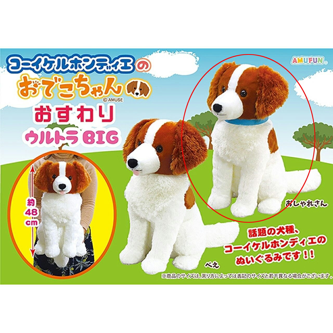 コーイケルホンディエのおでこちゃん おすわり ST.VMC 大谷翔平