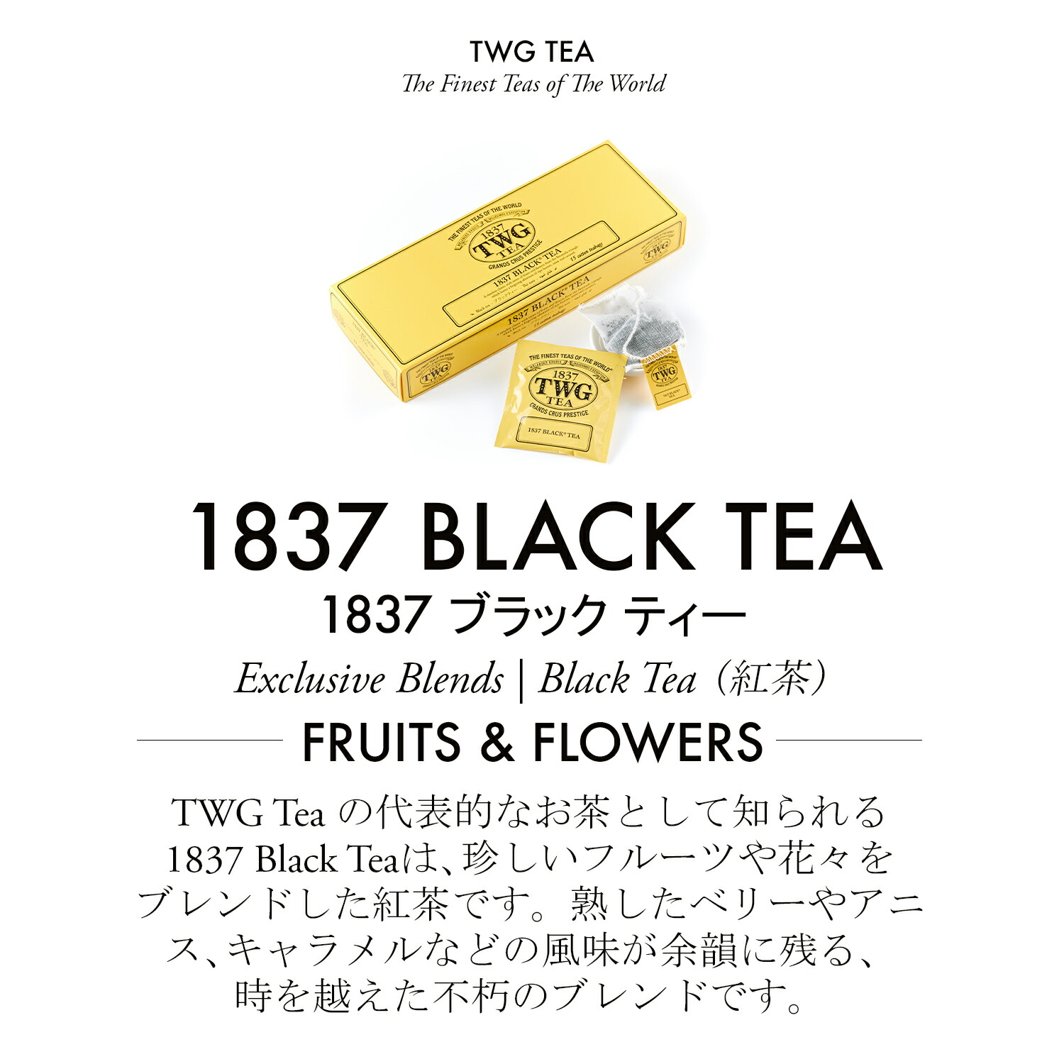 楽天市場】【公式】1837ブラックティーバッグ 紅茶 ギフト ティー