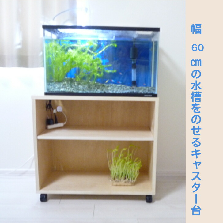 Saggg様専用水槽 てつさま専用オーダー水槽台でございます 小型水槽
