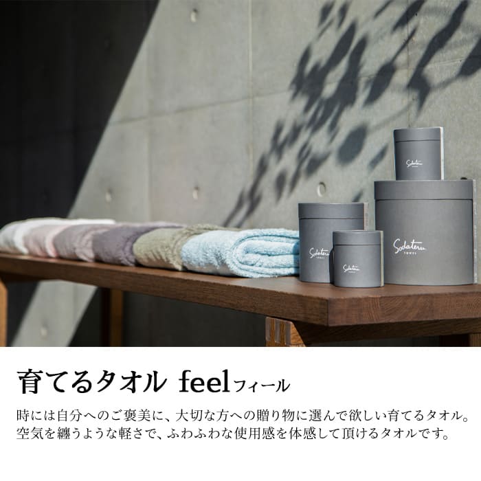楽天市場】「育てるタオル」feel(フィール) ギフト フェイスタオル同色