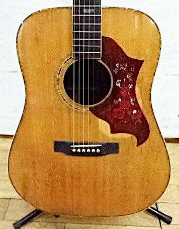 Jagard JG-35 寺田楽器 爆鳴り オシャレ ジャパンビンテージ Jagard JG