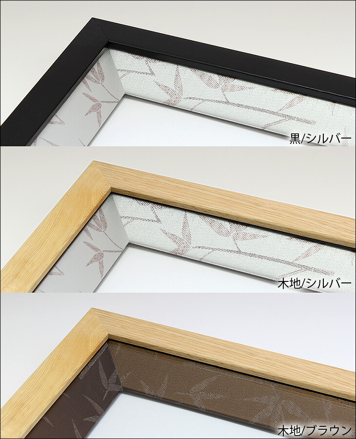 グッピー// 他の方は購入不可 高級色紙額縁10枚セット グッピー//