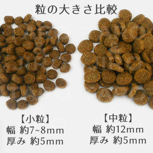 楽天市場】【ポイント5倍】【選べるおまけ付】アーテミス アガリクス I